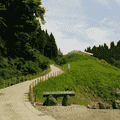 酒井 康智